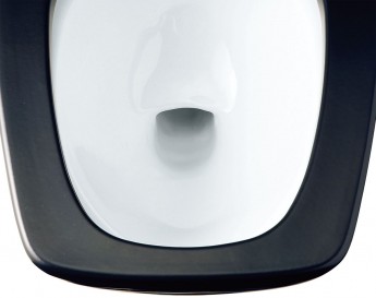 黒いトイレの鉢内は汚れ落ちが確認できる白となっています