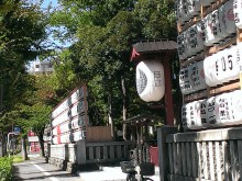 平塚八幡宮　平塚市　国道１号線沿いにあります　