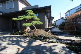 住宅に添って二つに分かれる和風のアプローチ。ジャワ鉄平石を使用