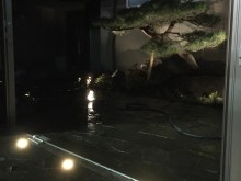 アカマツをライトアップ。スライドドアのレールに沿ってフットライトも埋め込みました。