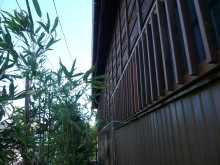 木製サイディング（杉板）と波板（トタン）の外壁